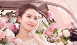 刘诗诗娱乐爆料视频播放,揭秘明星幕后故事