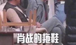 娱乐圈吃瓜大队集合视频,揭秘明星幕后故事