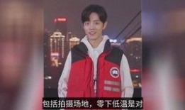 知名人爆料肖战事件视频,揭秘事件背后真相与争议