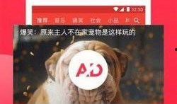 呆呆福利视频在线观看,轻松一刻，欢乐无限