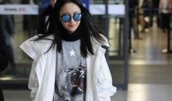 佟丽娅最新八卦爆料,揭秘明星背后的情感纠葛