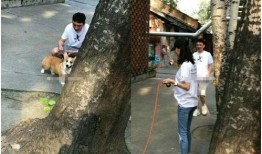 网友爆料遛狗视频大全