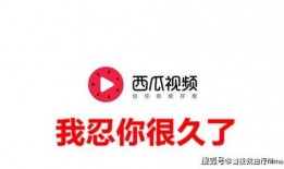 头条爆料是发原视频吗,原视频背后的真相曝光