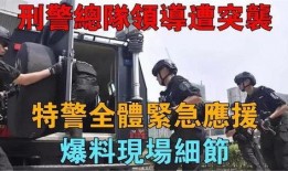 突击事件爆料视频大全下载,视频大全背后的惊心动魄瞬间