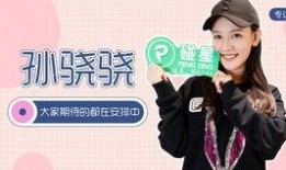 杨璐爆料孙骁骁视频播放,真相背后引热议