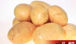 娱乐吃瓜小金土豆,揭秘吃瓜群众背后的土豆人生