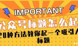 娱乐精神爆料怎么写标题,揭秘娱乐圈幕后趣闻，带你领略明星们的另一面